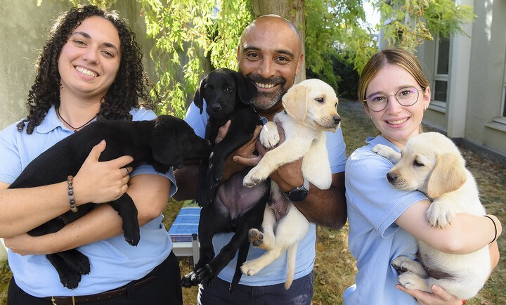 Les quatres chiots Balou, Bloom, Baya et Brume, avec les éducateurs de l'association Photo en extérieur, dans un jardin ensoleillé. Trois personnes portant le même polo bleu clair posent côte à côte, souriantes. À gauche, une femme aux cheveux bouclés serre contre elle un chiot labrador noir. Au centre, un homme crâne rasé et barbe poivre et sel tient un chiot labrador beige clair. À droite, une jeune femme à lunettes rondes porte un autre chiot beige, la patte posée sur son épaule. À l'arrière-plan, on distingue un arbre au feuillage retombant, un bâtiment clair et une oriflamme illustrée d'un chiot.