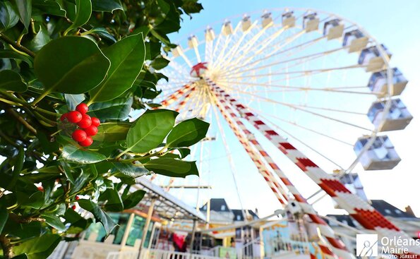 Vue de la grande roue place du Martroi