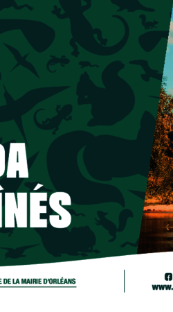 Agenda des Aînés 2026