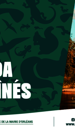 Agenda des Aînés 2026